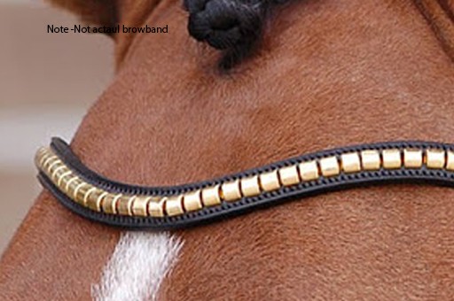 Sample Albion Wavy Brass Clincher Browband