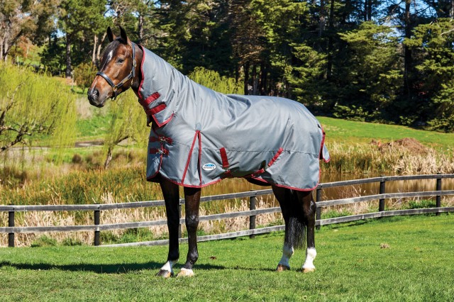 Weatherbeeta ComfiTec - Plus Dynamic Turnout - Combo - Heavy (Grey/Burgundy)