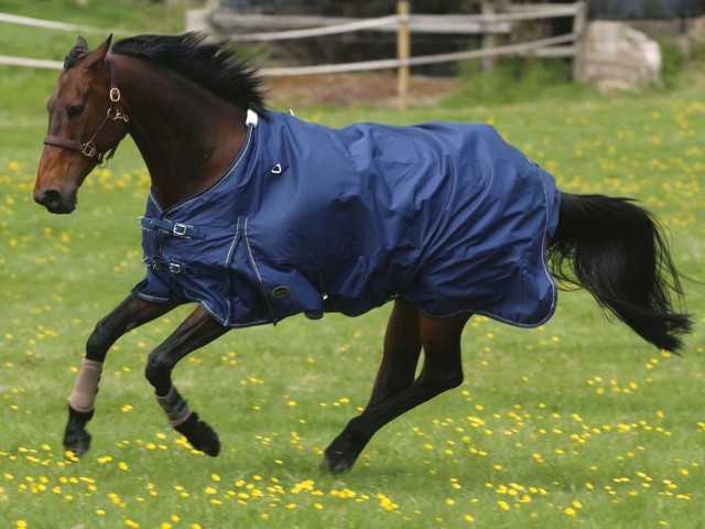 Mark Todd Lightweight Turnout Rug (Navy)