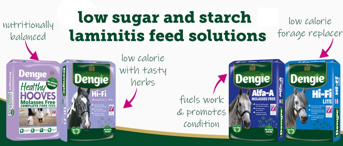 Dengie Brand Page