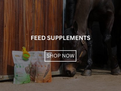 Feed Supplements