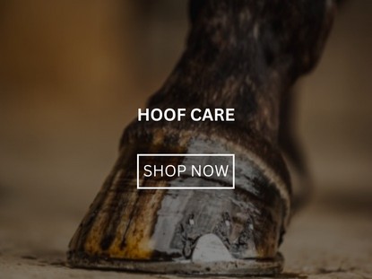 Hoof Care