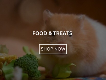 Food and Treats