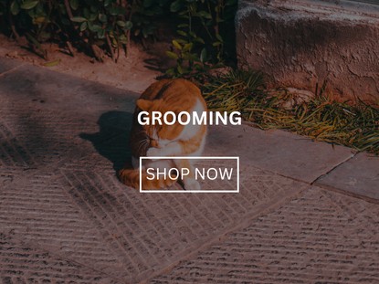 Grooming
