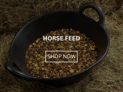 Horse Feed