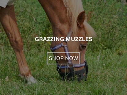 Grazing Muzzle