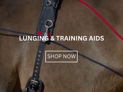 Lunging and Training Aids