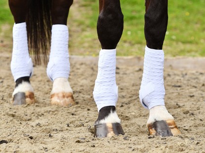 Horse Boots Horse Boots