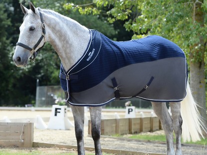 Sheets, Coolers & Fleeces Sheets, Coolers & Fleeces