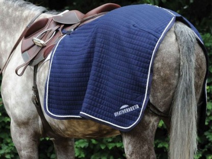 Exercise Rugs Exercise Rugs