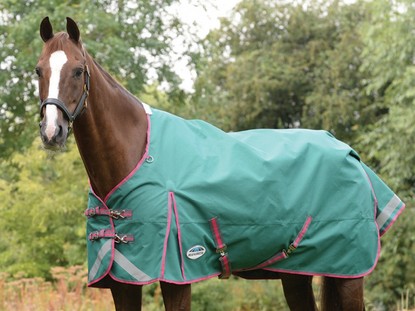 Turnout Rugs Turnout Rugs
