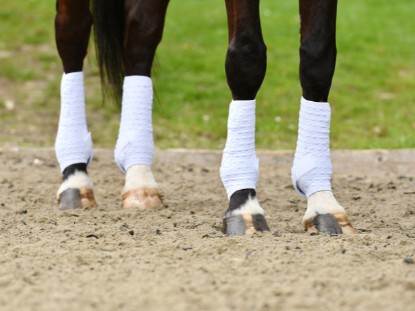 Dressage Wraps & Boots Dressage Wraps & Boots