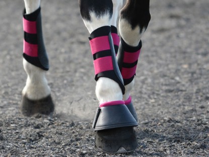 Exercise & Brushing Boots Exercise & Brushing Boots