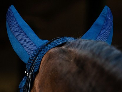 Competition Ears & Veils