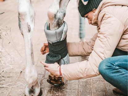 First Aid & Veterinary First Aid & Veterinary