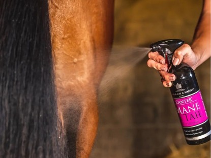 Mane, Tail & Coat Conditioner Mane, Tail & Coat Conditioner