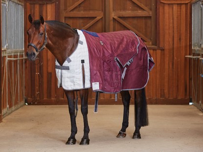 Liners & Under Rugs Liners & Under Rugs