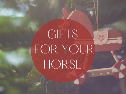 Gifts for Your Horse 