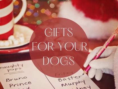 Gifts For Dogs