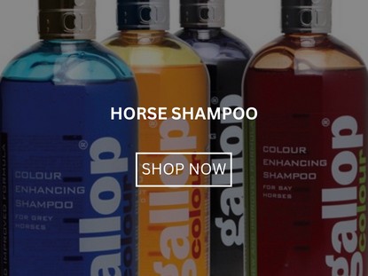 Horse Shampoo