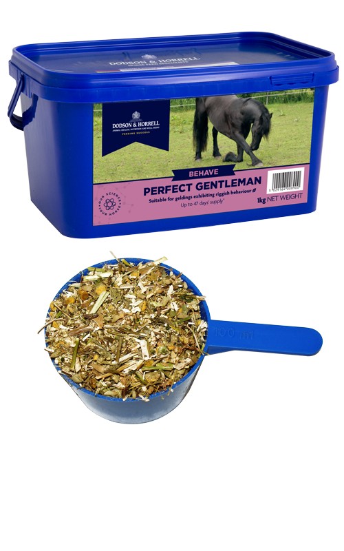 NAF DItch Supplement Old Dairy Saddlery