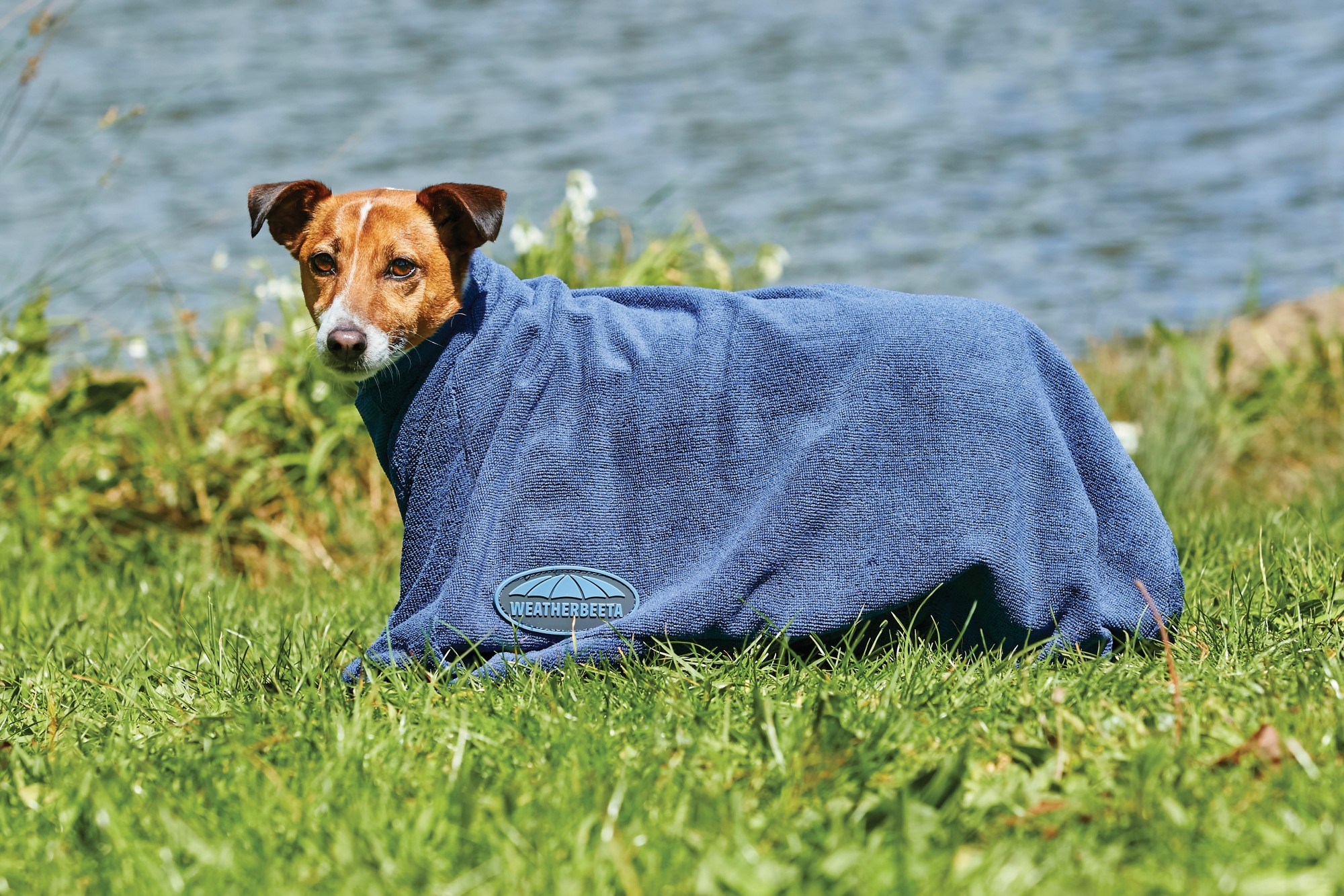 Weatherbeeta Comfitec DryDog Bag (Navy) Old Dairy Saddlery