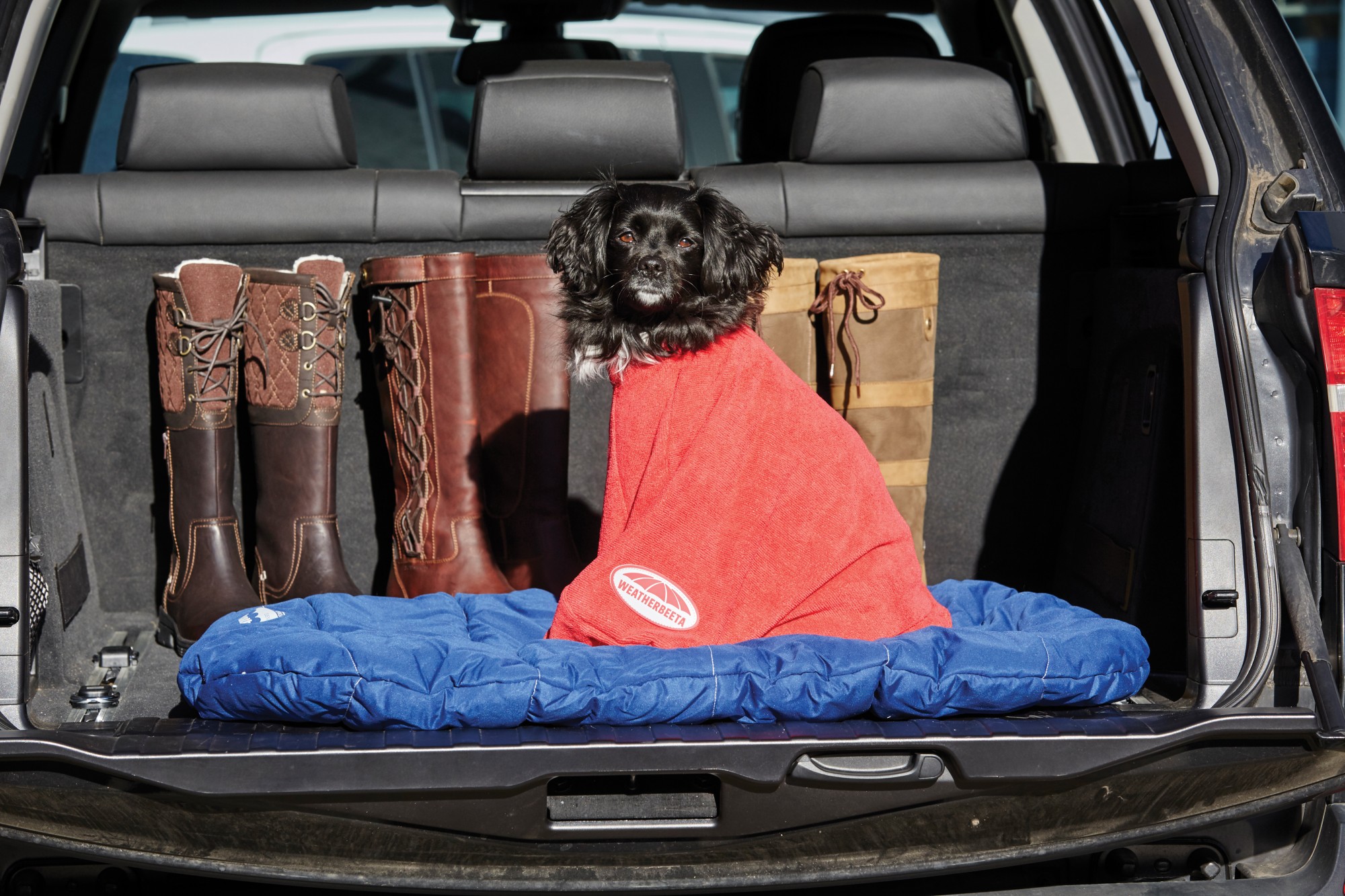 Weatherbeeta Comfitec DryDog Bag (Red) Old Dairy Saddlery