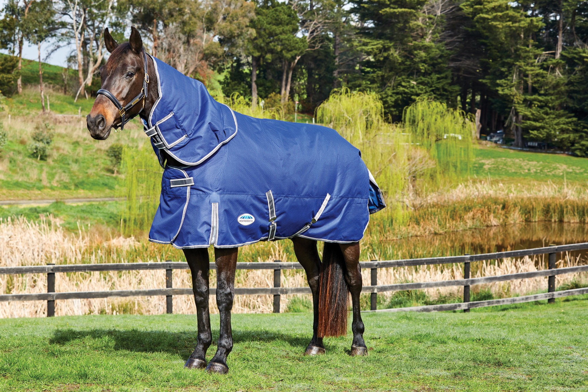 Weatherbeeta Comfitec Premier Free Parka Deluxe Manteau pour chien Tai – GS Equestrian