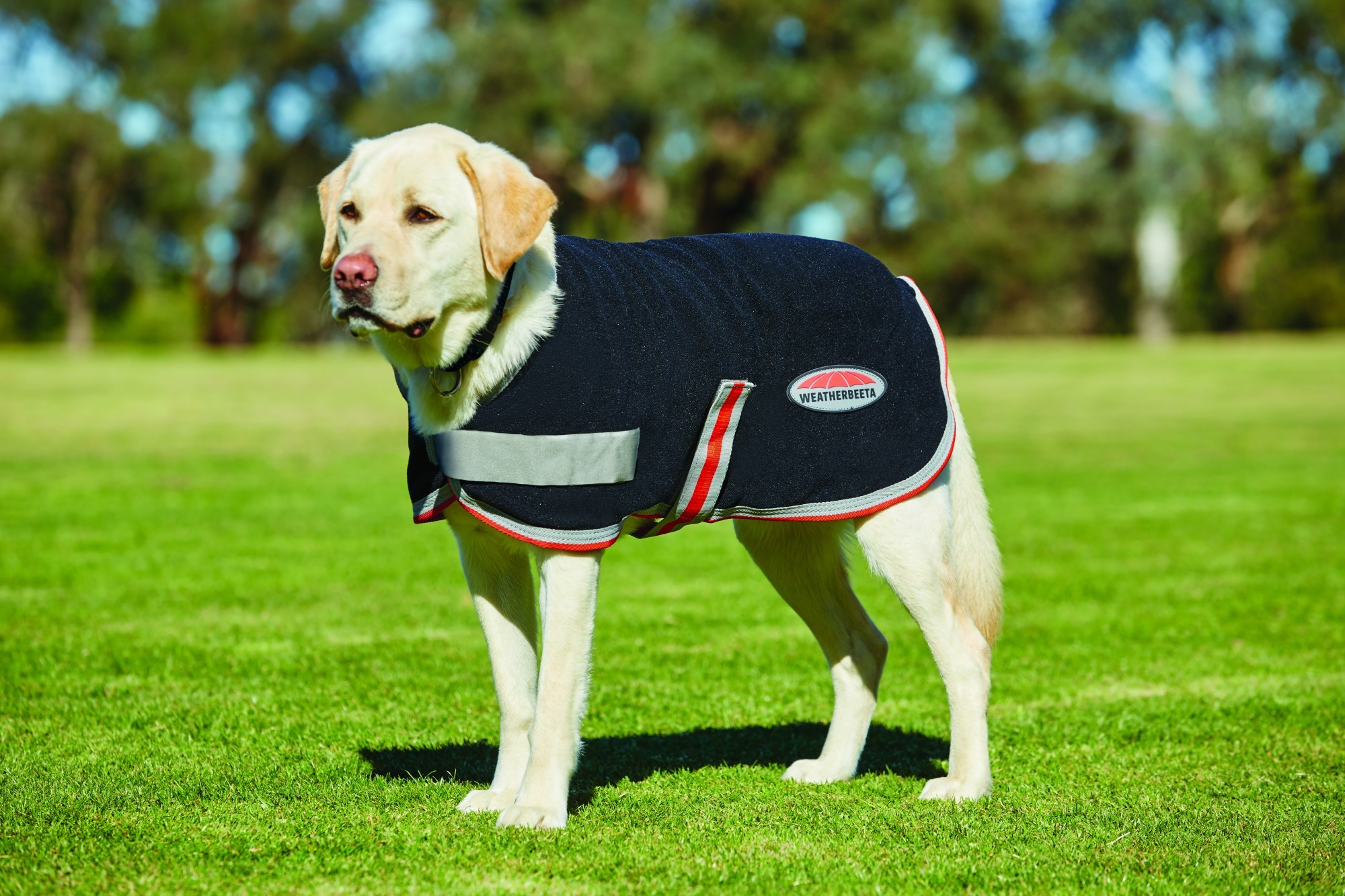Weatherbeeta Comfitec TherapyTec Fleece Dog Coat (Black/Silver/Red