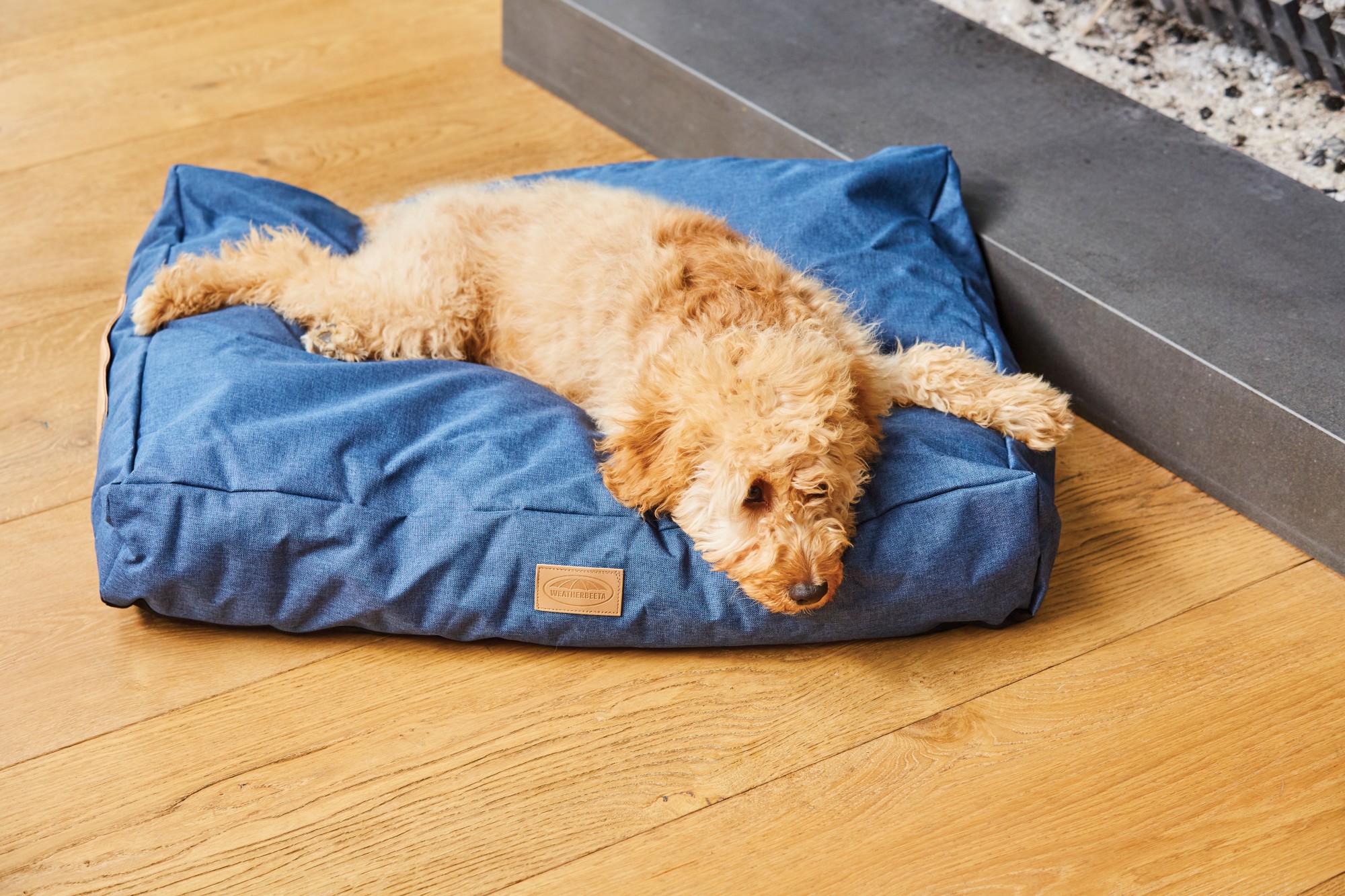 Weatherbeeta Pillow Denim Dog Bed (Blue Denim) Old Dairy Saddlery