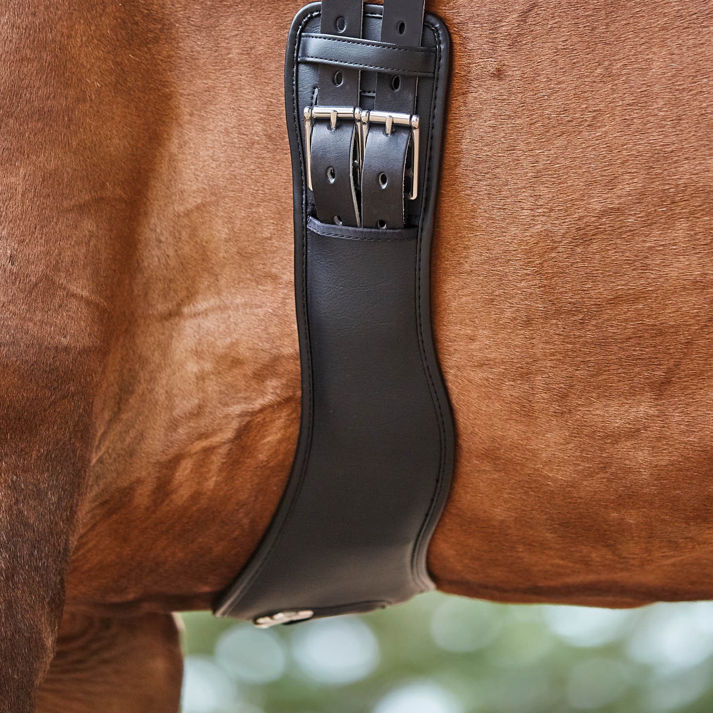 Collegiate Anatomic Girth (Black) Old Dairy Saddlery