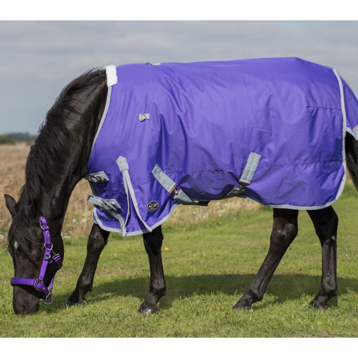 Mark Todd Lightweight Pony Turnout Rug (Purple & Grey) Old Dairy Saddlery