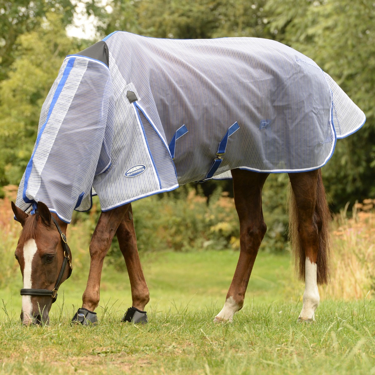 Weatherbeeta Comfitec Ripshield Plus Fly Rug With Ultra Belly Wrap