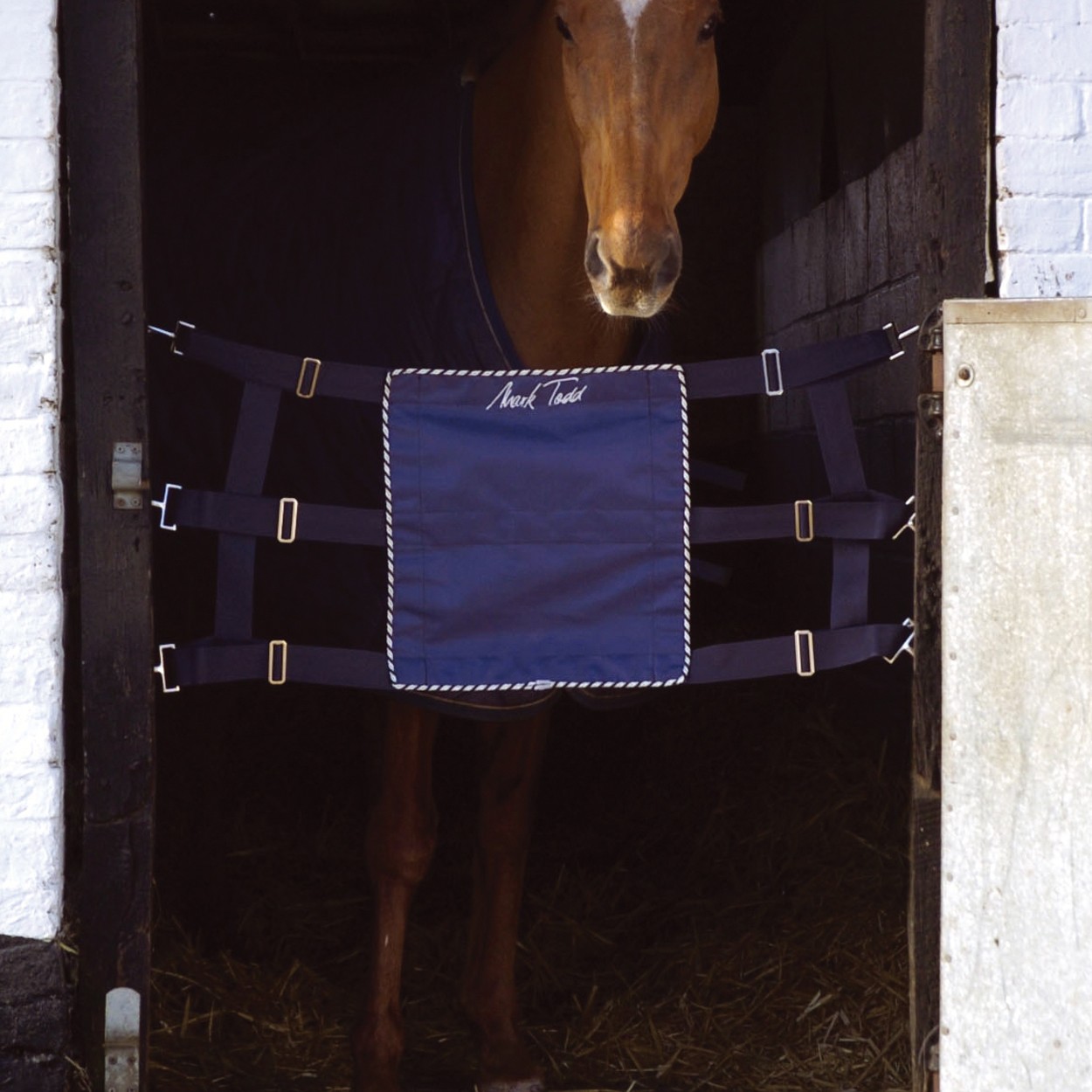 Mark Todd Competition Stall Guard Navy & Silver Old Dairy Saddlery