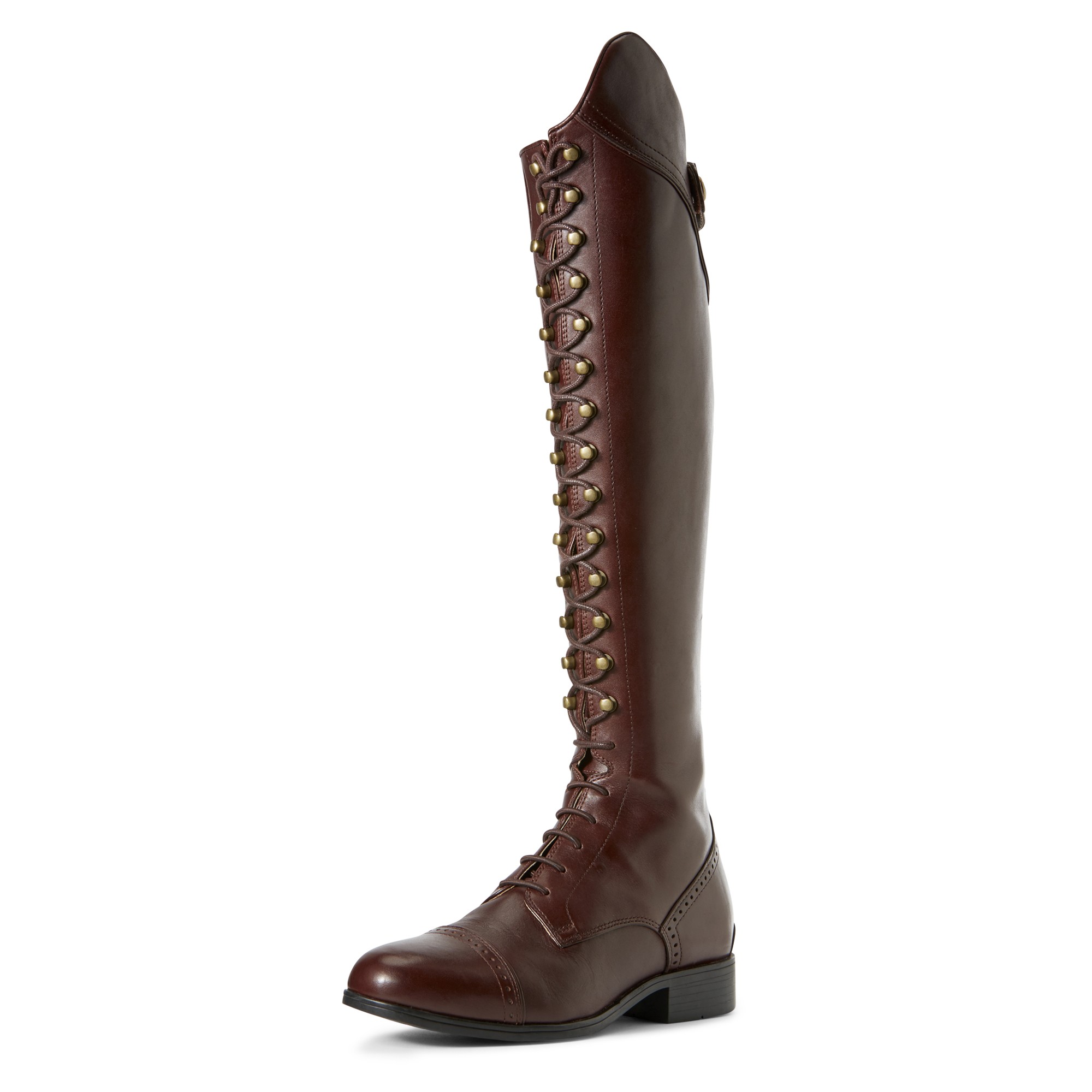 ariat capriole tall riding boot