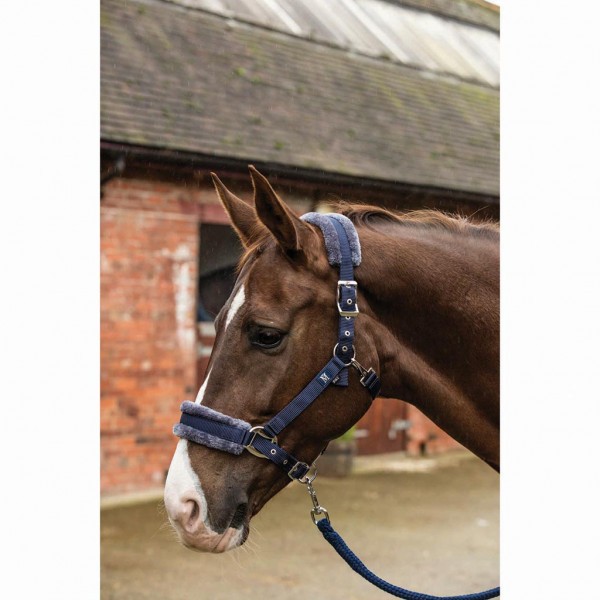 Mark shop todd headcollar