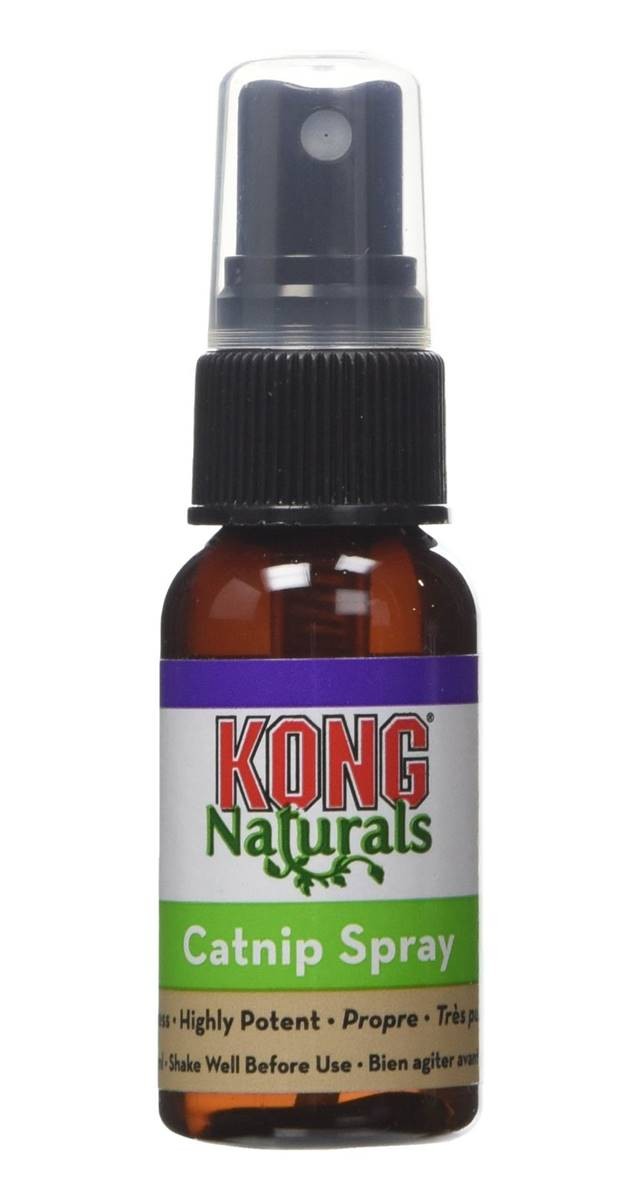 Kong Catnip Spray Old Dairy Saddlery