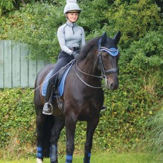 *OUTLET* Woof Wear Fly Veil (Electric Blue)