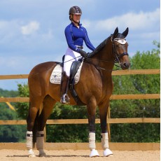 *OUTLET* Woof Wear Vision Dressage Saddle Cloth (Champagne)