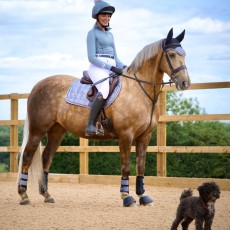 *OUTLET* Woof Wear Vision Dressage Saddle Cloth (Brushed Steel)