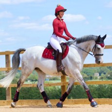*OUTLET* Woof Wear Vision Dressage Saddle Cloth (Shiraz)