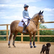 *OUTLET* Woof Wear Vision Close Contact Saddle Cloth (Brushed Steel)