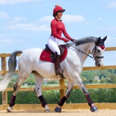 *OUTLET* Woof Wear Ladies Performance Riding Shirt (Shiraz)