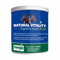 Dengie Digestive Health Plus (1kg)