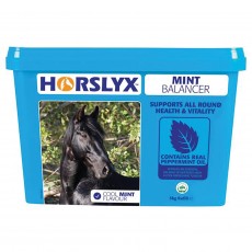 Horslyx Mint