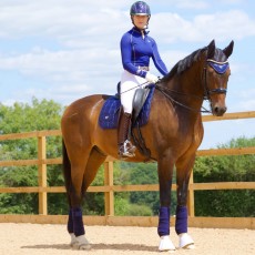 *OUTLET* Woof Wear Vision Polo Bandages (Navy)
