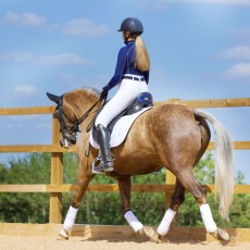 *OUTLET* Woof Wear Vision Polo Bandages (White)