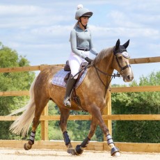 *OUTLET* Woof Wear Vision Fly Veil (Brushed Steel)