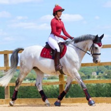 *OUTLET* Woof Wear Vision Fly Veil (Shiraz)