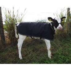 Weatherbeeta Calf Coat (Black)